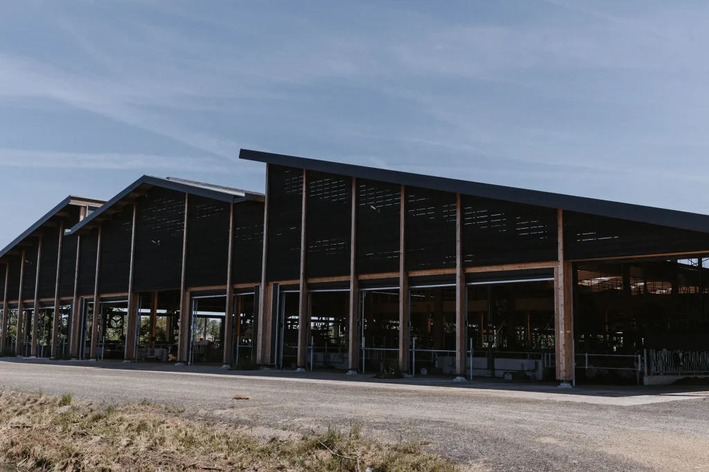 nieuwbouw-rundveestal-Well-1